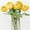 Yellow, variant on 6PCS Artificial Ranunculus Flowers with Real Touch Stem Silk Ranunculus Flowers for Household Arrangement