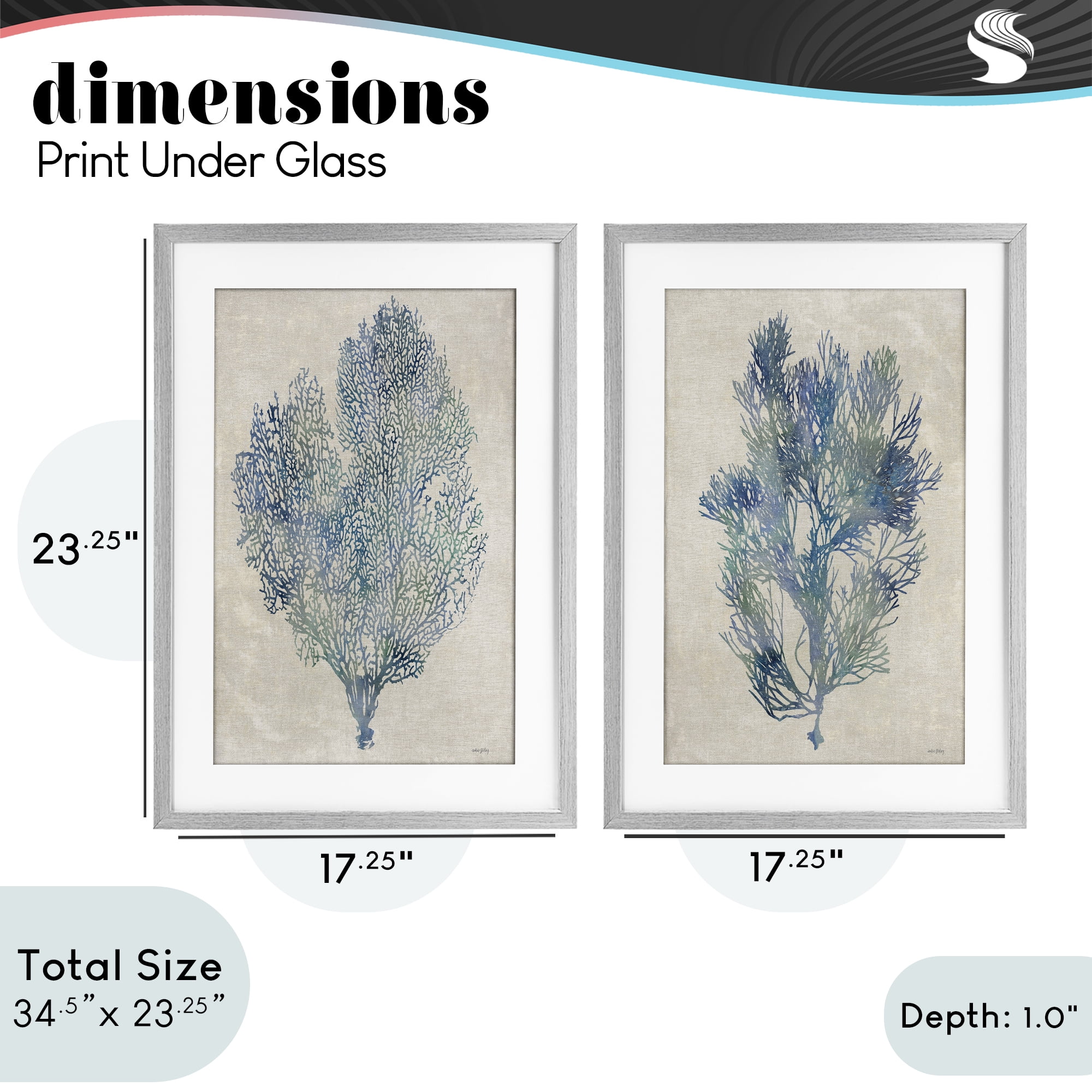 Stupell Industries Fan Coral Study in Blues 2 Piece Gray Framed Print Under Glass Set, design by Amber Sterling