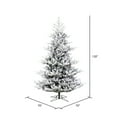 thumbnail image 3 of Vickerman 10' x 70" Flocked Hudson Fraser Fir Artificial Christmas Tree, Unlit, 3 of 5