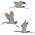 thumbnail image 1 of SPI Home 80131 Jeu de 3 Plaques Murales pour Grues, 1 of 1