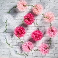 thumbnail image 7 of Dalrosia Paper Pom Pom Garlands, Paper Flowers for Birthday Decorations, Baby Shower, Wedding Engagement, Bridal Shower, Spring Summer Party Decorations, 7 of 7