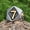 Gold Silver color, variant on Size 7-15 Number 7 Skeleton Ring 14K White Gold Cool Fashion Men Biker Ring