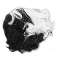 thumbnail image 4 of Peluca corta para mujer, de moda, rizada, ondulada, mitad negra, mitad blanca, peluquín para mujeres, 4 of 15
