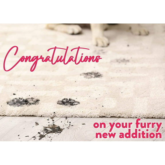 Congratulations on Your Furry New Addition New Puppy Greeting Card
