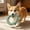 C, variant on Dog Chew Toys, Pet Cotton Rope Combination, Cat and Dog Grinding Tools, Relieve Boredom for Medium Large Dog Cat
