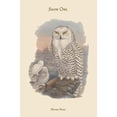 thumbnail image 1 of Nyctea Nivea - Snow Owl-Fine Art Canvas Print (20" x 30"), 1 of 1