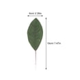 thumbnail image 2 of UPGRATOR 12Ud Hojas Artificiales De Magnolia Para Realistas De Tela Sin Olor, 2 of 8