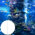 thumbnail image 4 of 1 Set/2PCS Shrimp Feeder with 35cm Glass Shrimp Feeding Tube and Feeding Plate, 4 of 7