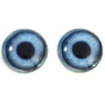 thumbnail image 5 of Blue Dog Glass Eyes, 5 of 7