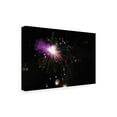 thumbnail image 2 of Trademark Fine Art 'Abstract Fireworks in Technocolor' Canvas Art by Kurt Shaffer, 2 of 4