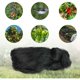 thumbnail image 2 of Red de protección contra pájaros, 5 x 15 m, red para pájaros, red para aves, red para aves, red para gallinas, red antipalomas reutilizable, adecuada para proteger los jardines de frutas y verduras de daños esquí esquí Gafas de esquí, 2 of 5