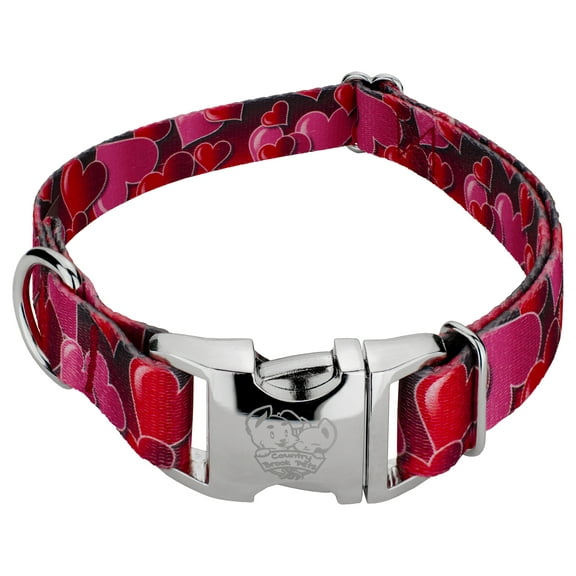 Country Brook Petz® Premium Romantic Hearts Dog Collar, Extra Large
