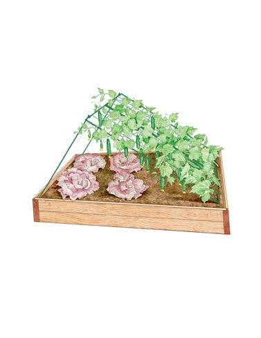 Medium Cucumber Trellis by Gardener's Supply Co.