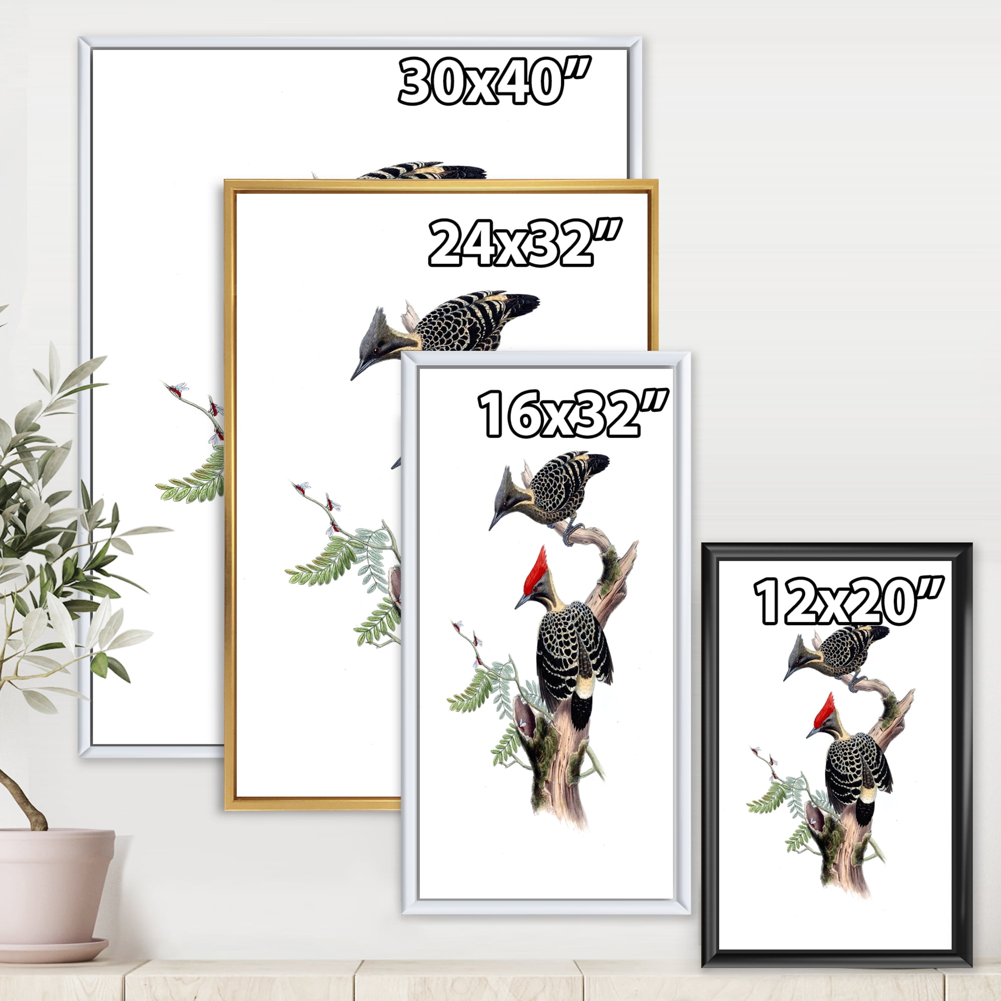 Designart 'Ancient Birds In The Wild VI' Traditional Framed Canvas Wall Art Print