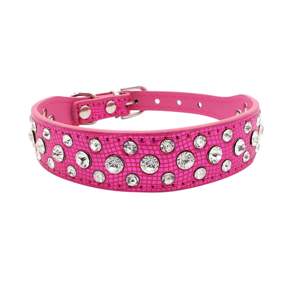 puppy collars walmart