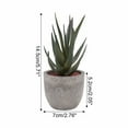 thumbnail image 2 of Artificial Succulent Plants Potted, Assorted Decorative Faux Succulent Potted Fake Cactus Cacti Plants with Pots, 2 of 2