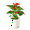 4_ANTHURIUM_RED_PP.WHT.CYL, variant on Anthurium Red - Live Air-Purifying Indoor Plant in Nursery Pot – Easy Care, Low Maintenance Houseplant for Home & Office Decor, Natural Air Cleaner, Best for Beginners (4"Pot, BlackCylinder)
