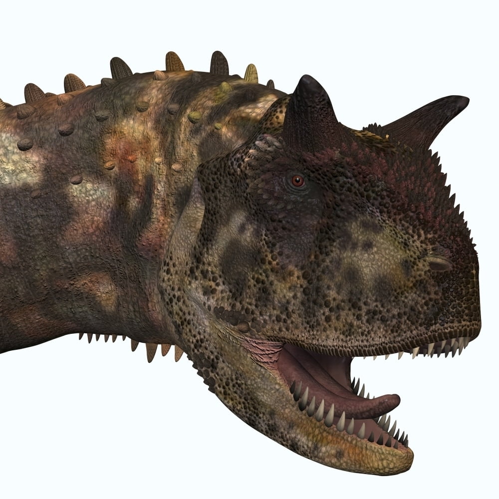 Carnotaurus was a theropod carnivorous dinosaur that lived in Argentina during the Cretaceous