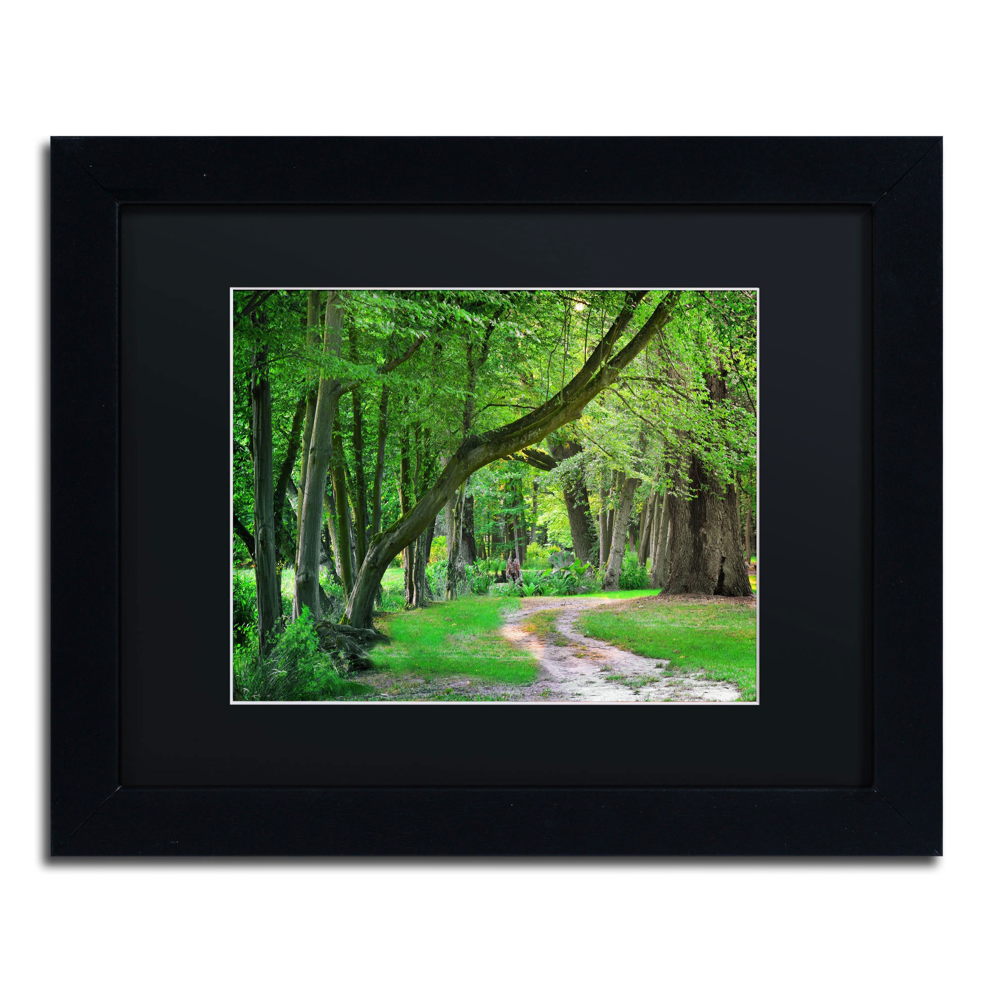 Trademark Fine Art "Intimate Landscape" Canvas Art by Philippe Sainte-Laudy, Black Matte, Black Frame