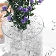 thumbnail image 5 of 600 Pcs Clear Fake Ice Rocks,Happon Acrylic Fake Crushed Ice Rocks Diamonds Gems DIY Crafts Vase Fillers for Table Scatters, Vase Filler, Wedding Party Centerpieces, 5 of 7