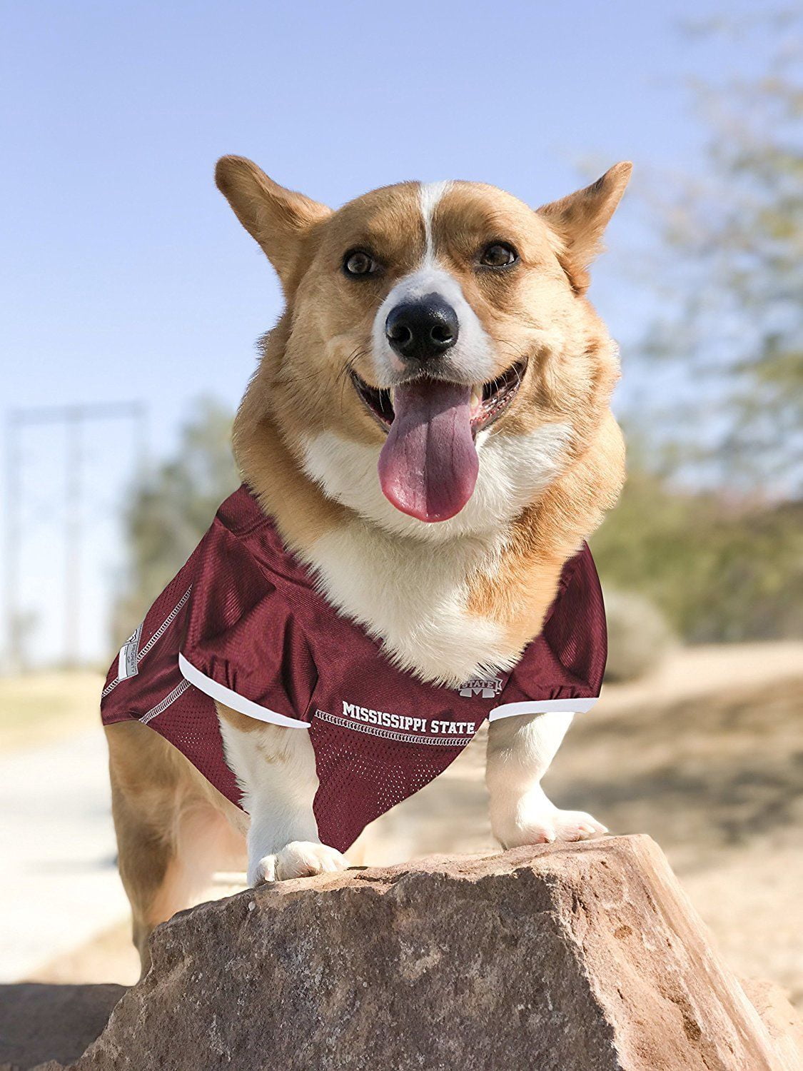 Pets First Collegiate Mississippi State Bulldogs Football/Basketball Mesh Jersey for Pet Dog. available in 40+ Teams - Large