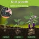 thumbnail image 5 of MoonSpry-Barra de bionutrición para plantas, frutas y verduras, brotes para macetas, barra de fertilizante para el crecimiento de raíces de cabello y flores, 5 of 6