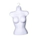 thumbnail image 2 of Torso femenino moldeado y bien formado para desfiles de moda, forma de colgar ropa con gancho blanco, 2 of 9