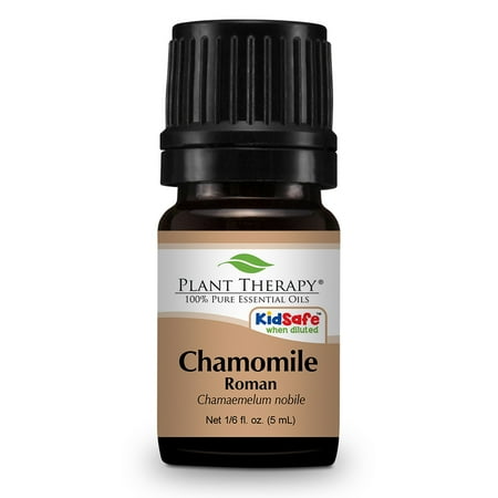 Plant Therapy Chamomile Roman Essential Oil 5 mL (1/6 fl. oz.) 100% Pure, Undiluted, Therapeutic Grade Plant Therapy Chamomile Roman Essential Oil 5 mL (1/6 fl. oz.) 100% Pure, Undiluted, Therapeutic Grade