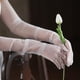 thumbnail image 1 of Guantes de novia Yinane de tul con encaje y dedos blancos, 1 of 8