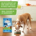 thumbnail image 5 of Rachael Ray Nutrish Big Life Savory Chicken, Veggies & Barley Recipe Dry Dog Food, 40 lb. Bag, 5 of 10