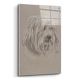 thumbnail image 2 of Epic Art 'Havanese' by Barbara Keith, Acrylic Glass Wall Art, 24"x36", 2 of 8