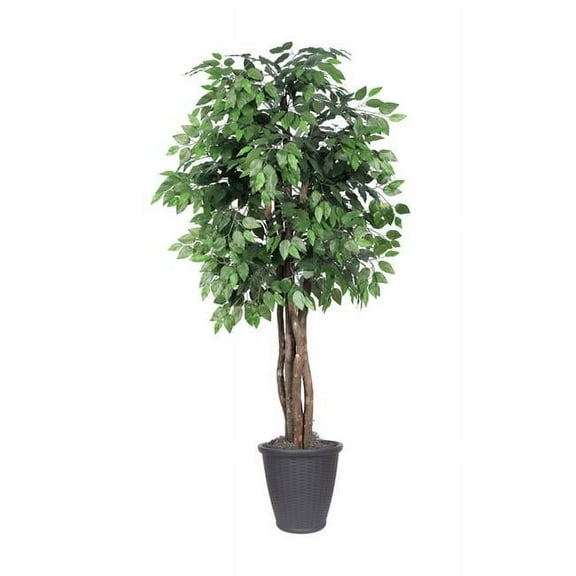 Vickerman TEX0160-RG 6 ft. Artificial Ficus Executive Tree in Round Gray Container, Green