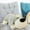 C 2D7, variant on Qonioi Ultra Soft Dog Hugging Body Pillow, Large 19.7in Plush Stuffed Animal Cuddle Toy for Home Decor Bedroom, Plush Dog Pillow Stuffed Animal