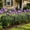 garden fence Under $5 a2, variant on Werulen Garden Lawn Fence White Floral Bird Style, Yard Vegetable Garden Flower Bed Border, Outdoor Landscape Decorative Partition, Garden Greenery Area Divider, Patio Space Planning