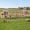 Gray, variant on PETSCOSSET Large Chicken Coop with Nesting Box, Chicken Tractor with Wheels and Run, 187"L x 31.5"W x 45"H, Red