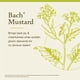 thumbnail image 3 of Mostaza original de Flower Essence Bach, 20 ml, vegana, sin gluten, 3 of 6