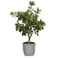 thumbnail image 1 of Vintage Home Artificial Faux Tung Tree 30" High Fake Plant Real Touch for Indoor/Outdoor Home and Office Accent Décor with Eco Planter, 1 of 6