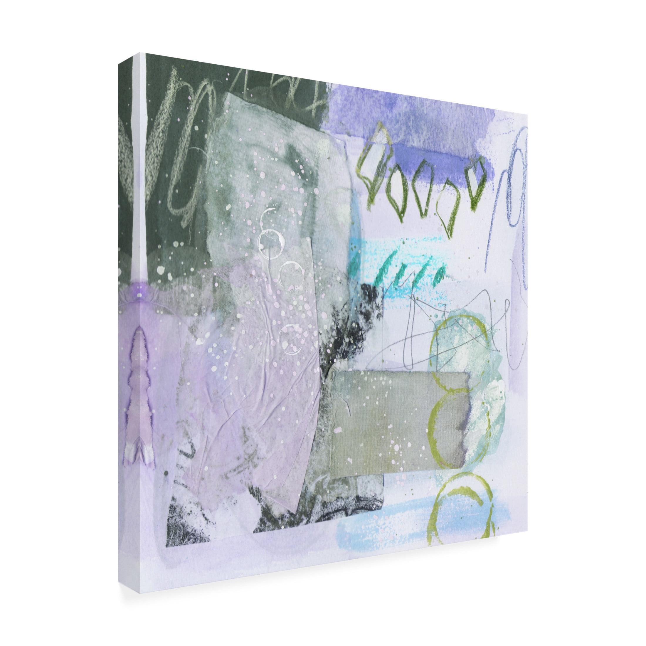 Trademark Fine Art Melissa Wang  Snow Petal II Canvas Wall Art