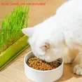 thumbnail image 5 of Bandeja de vivero Bandeja de germinación de semillas Juego de cultivo de césped para gatos en capas Sin tierra Juego de césped para gatos conveniente 4 estilos Suministros para mascotas, 5 of 5