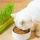 thumbnail image 5 of Bandeja de vivero Bandeja de germinación de semillas Juego de cultivo de césped para gatos en capas Sin tierra Juego de césped para gatos conveniente 4 estilos Suministros para mascotas, 5 of 5