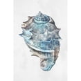 thumbnail image 3 of Prime, Marcus 11x14 Black Modern Framed Museum Art Print Titled - Urban Sea Shell 2, 3 of 5