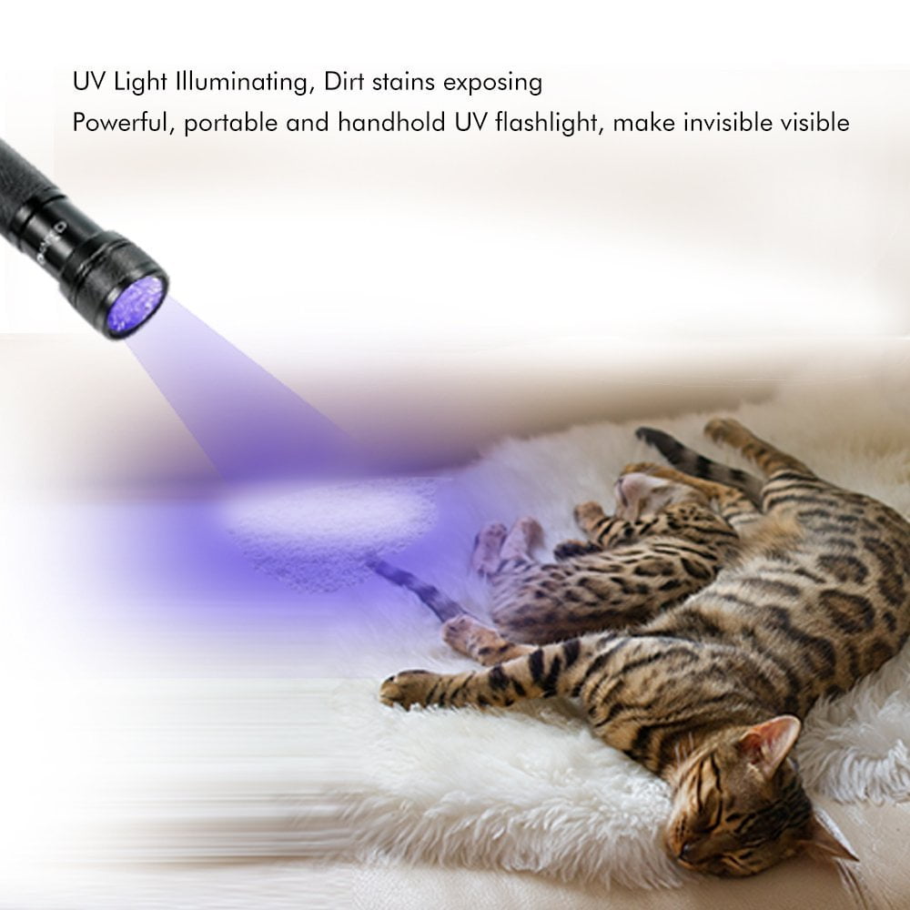 21 LED UV Flashlights Super Bright Ultraviolet Flashlight Professional Black Light Pet Urine Detector for Dog/Cat,Hunting Scorpions F Fityle UV Blacklight 