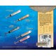 Hopkins Lures NO=EQL Spoon, Single Hook Bucktail, 2 oz, White - Walmart.com