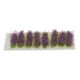 thumbnail image 1 of Hierba Tufts Meadows Flores Tuft Miniatura Grupos de Vegetación Modelo Etapa Material de Bricolaje Púrpura Hugo Mechones de hierba de estudio, 1 of 10