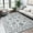 grey, variant on SARAG 8’x10’ Large Modern Washable Area Rug for Living Room, Low Pile Non-Slip Bedroom Rug