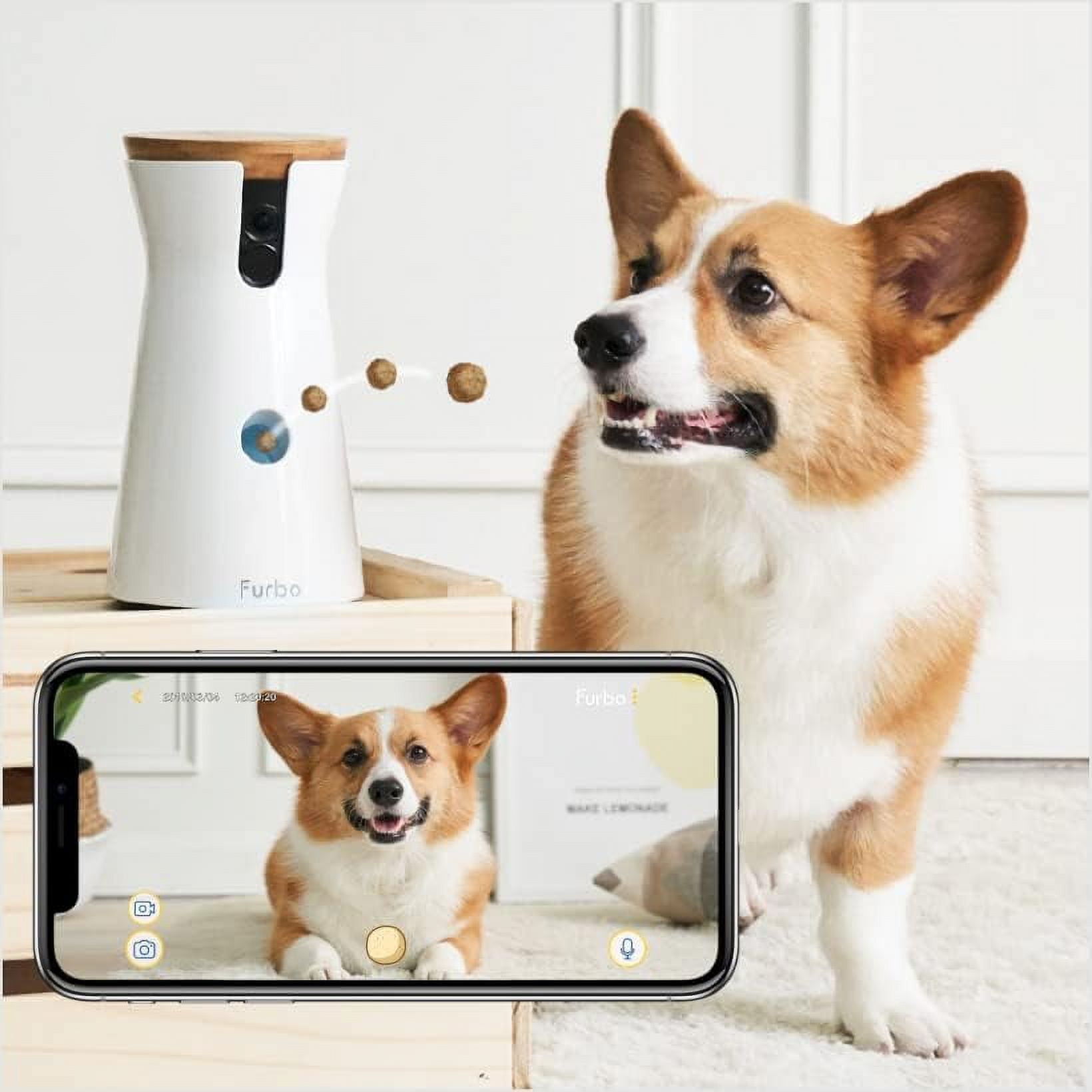 Furbo Dog Camera Treat Tossing Full HD Wifi Pet Camera and 2 Way Audio Designed for Dogs Walmart