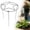 Z E/17.7"X11.8", variant on Luysn 3Pcs Plant Trellis for Potted Climbing Plants Indoor, Outdoor Plastic Garden Trellis for Climbing Plants,Houseplants Flowers Vine Ivy, Fan Shape,Trellis for Climbing Plants Outdoor