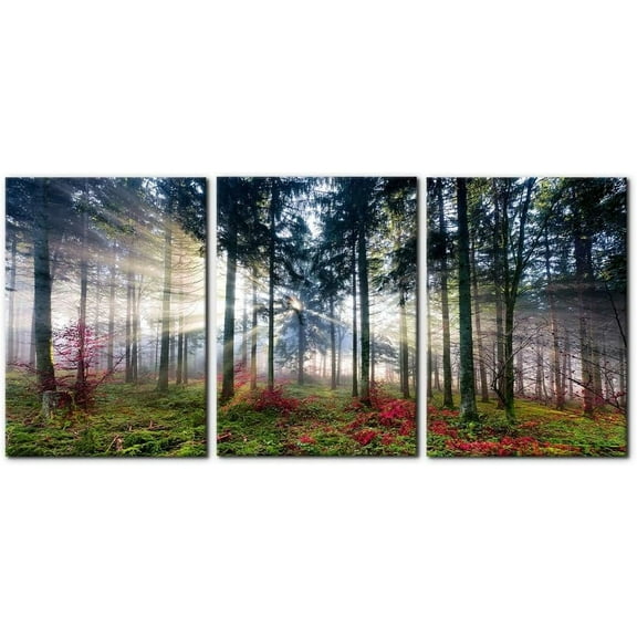 FCCUYE 3 Pieces Canvas Wall Art Nature Landscape Sunrise Trees Pictures Painting Prints on Canvas Wall Decoration for Living Room Forest d Modern Artwork for Bedroom and Home Decor - 12"x16"x3