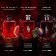 thumbnail image 4 of Perfume Ralph Lauren Polo Red Eau de Toilette para hombre 125 ml, 4 of 6