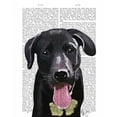 thumbnail image 2 of Fab Funky 20x24 White Modern Wood Framed Museum Art Print Titled - Black Labrador Plain, 2 of 4